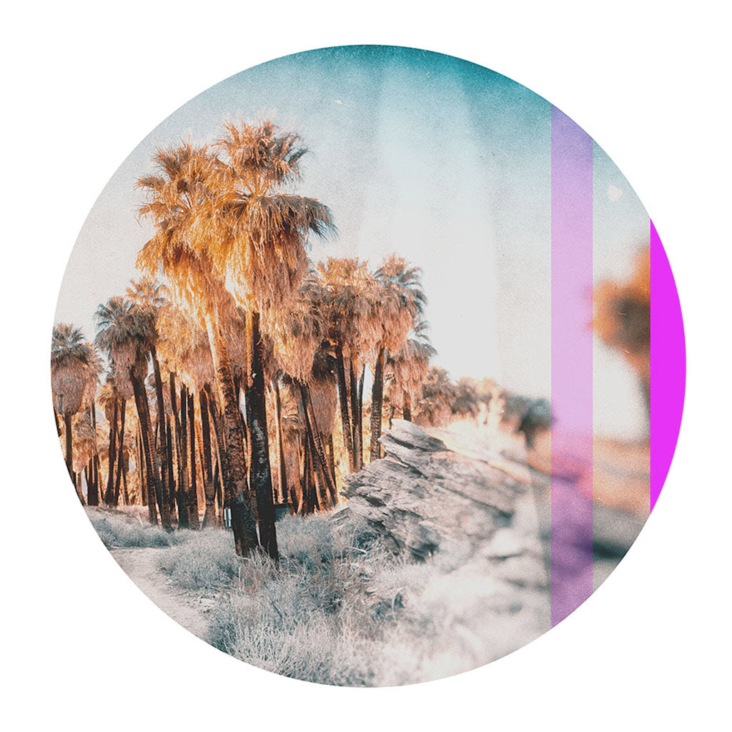 Indian Canyon Palm Trees Circular | Fine Art Photography | Limited Edition - FranLamothe