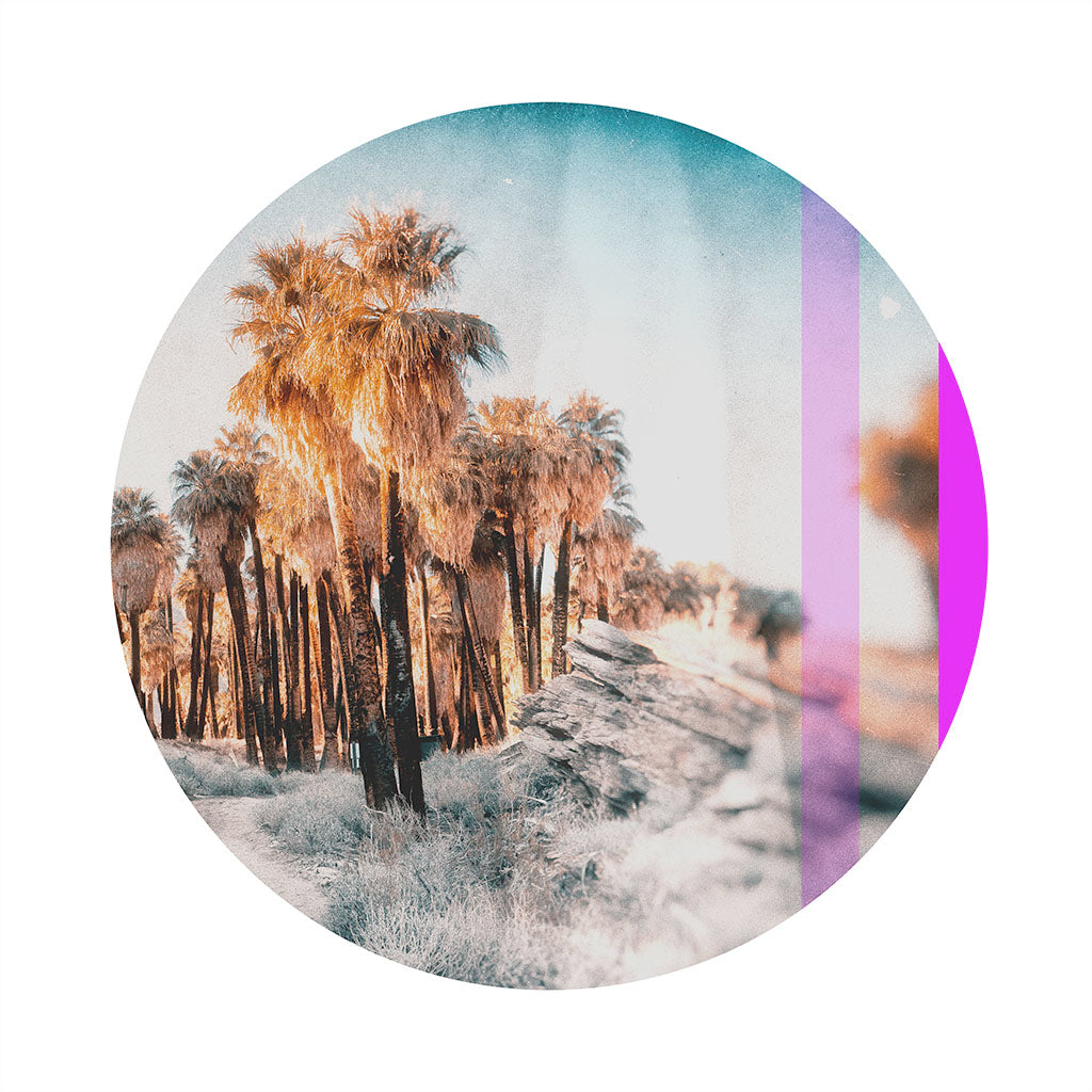 Indian Palm Canyon Circular - FranLamothe