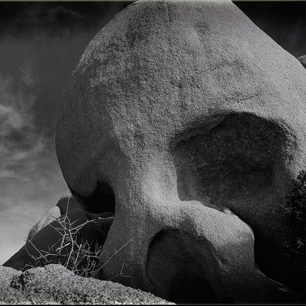 Joshua Tree Skull Rock #9 | Fine Art Photography | Limited Edition - FranLamothe
