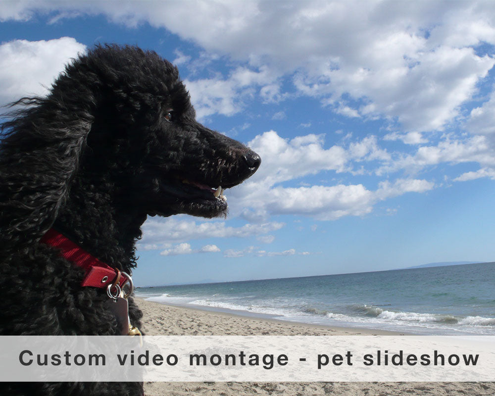 Video Montage - Pet Custom Slideshow - FranLamothe